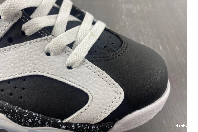 Oreo Jordan 384664-101 Retro 6 0816